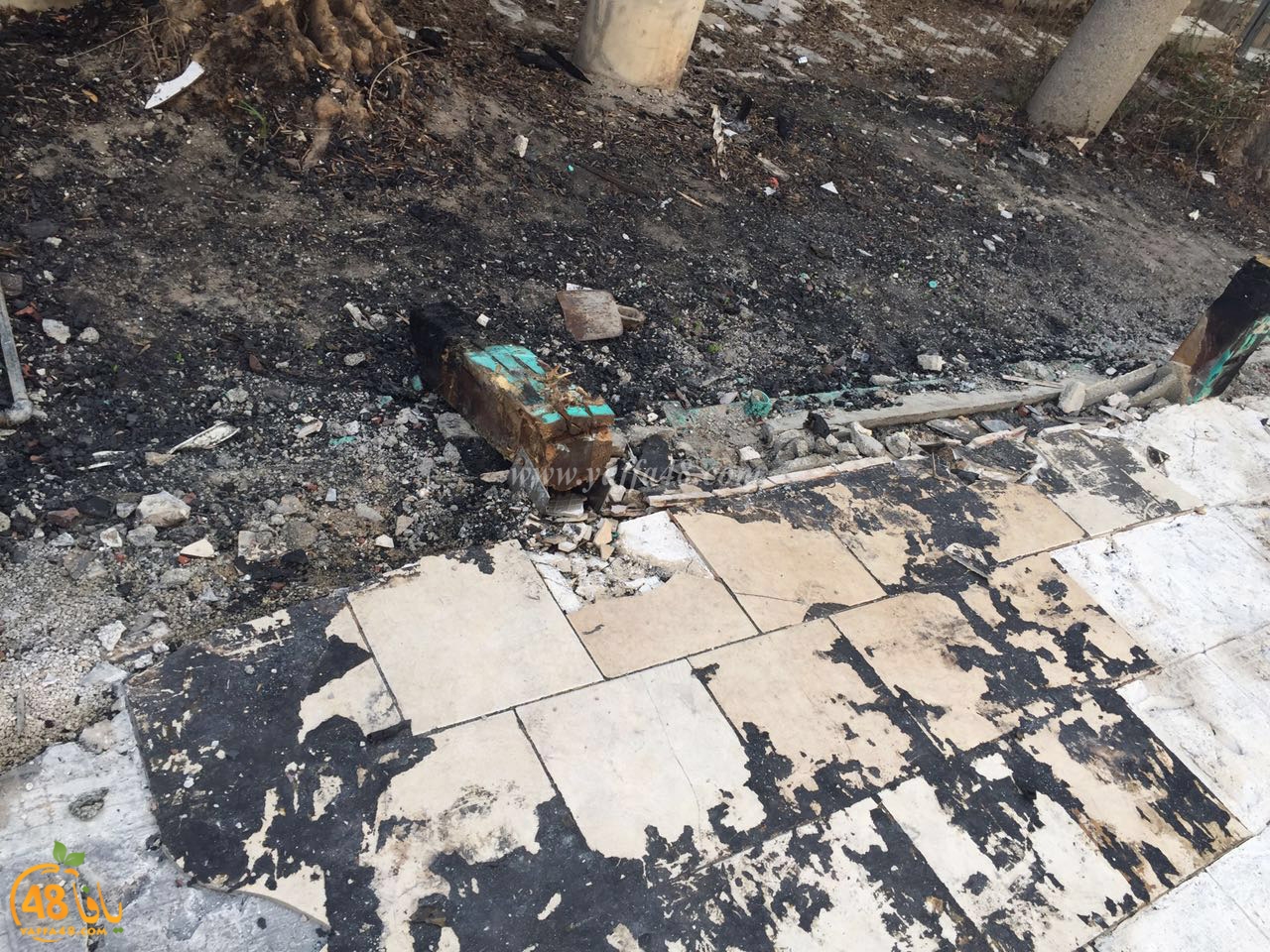 wafasd jazar yaffa (6).jpg